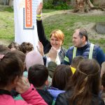 +Световозвращение3