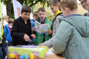 +Световозвращение+общая